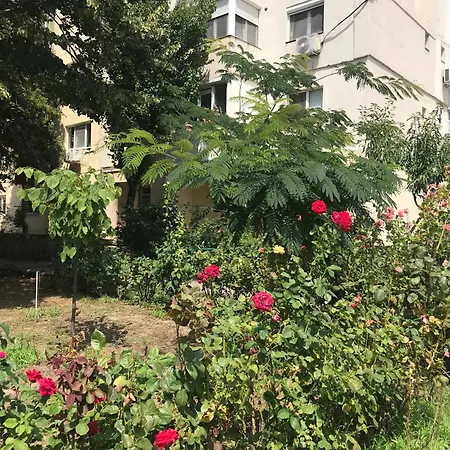 Langa Plaja Diana * Mangalia