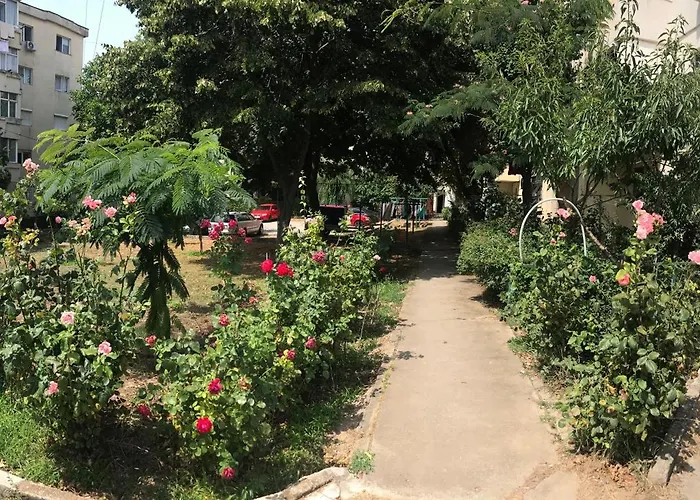 Langa Plaja Diana Apartament