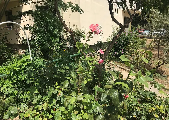 Langa Plaja Diana Apartament *