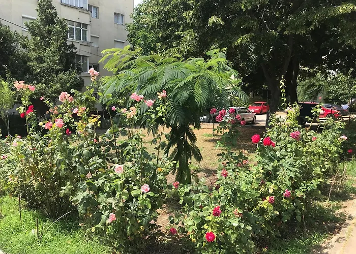 Langa Plaja Diana Apartament