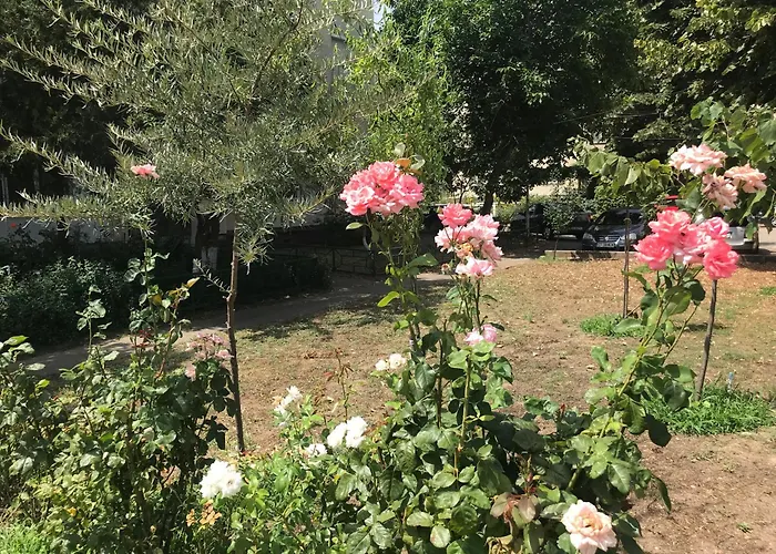 Langa Plaja Diana Apartament