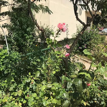 Langa Plaja Diana Apartament *