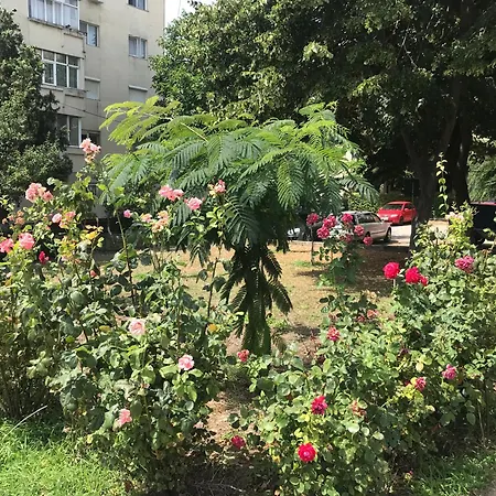 Langa Plaja Diana Apartament