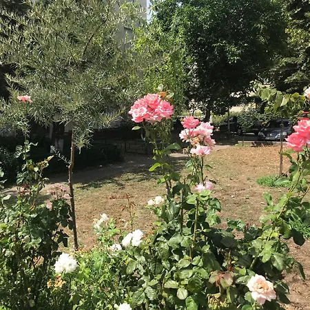 Langa Plaja Diana Apartament