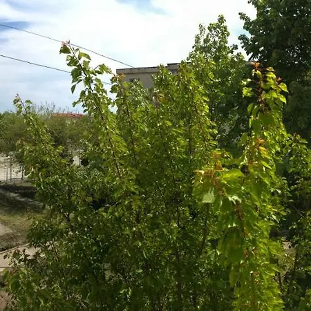 Langa Plaja Diana Apartament